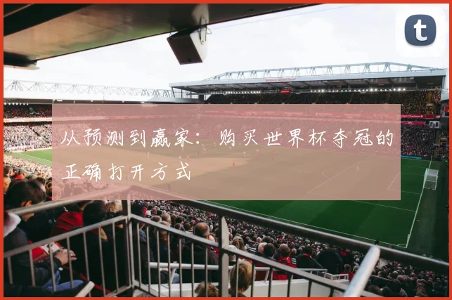 从预测到赢家：购买世界杯夺冠的正确打开方式